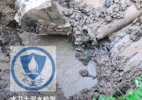 吉安水管漏水检测公司5